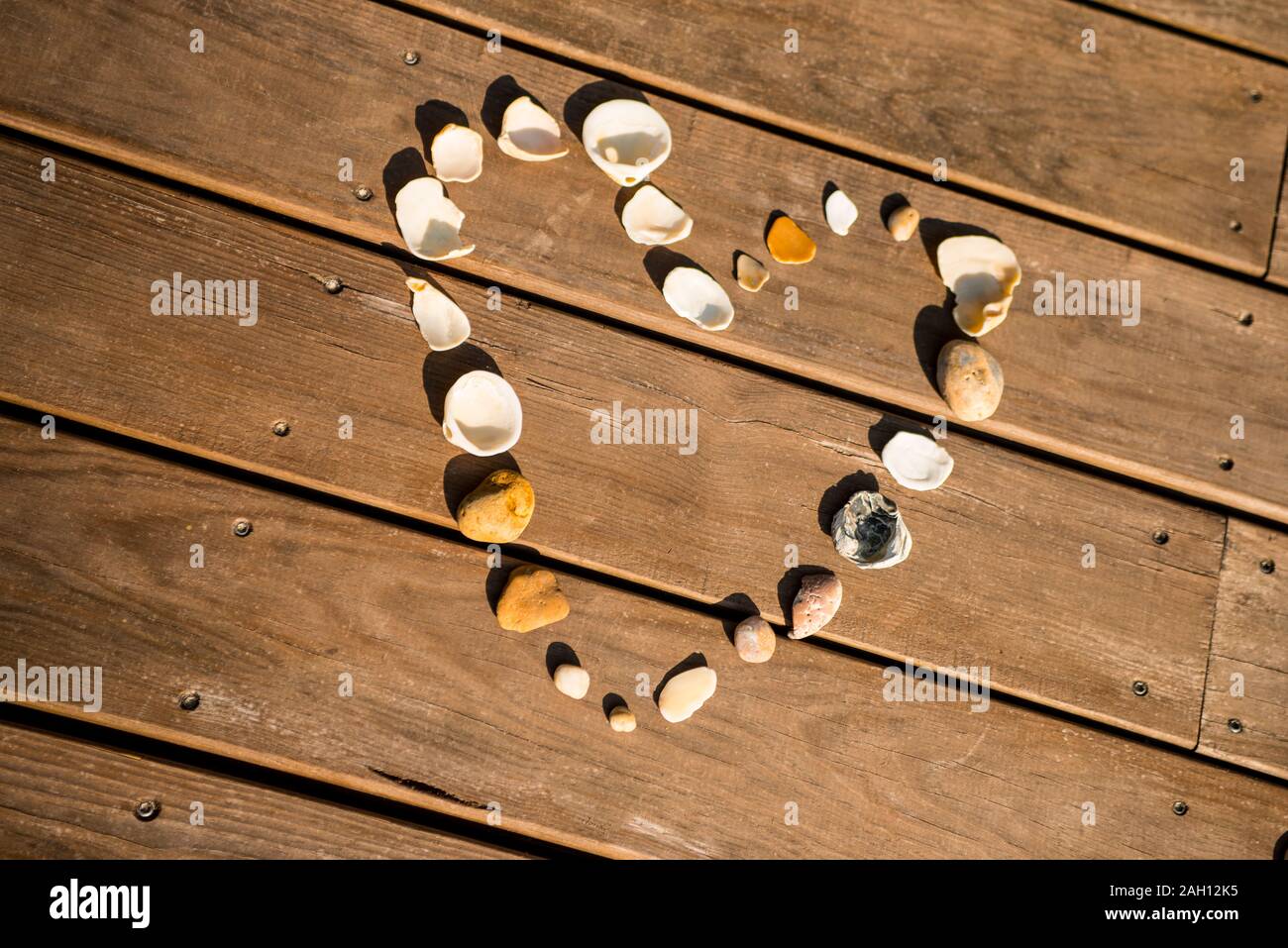Coquilles dans la forme d'un coeur sur une terrasse en bois au soleil Banque D'Images