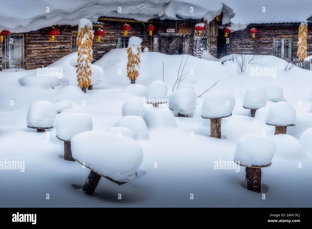 Les champignons de la neige et des bâtiments dans la neige paysage de neige de la Chine dans la ville de Harbin Banque D'Images