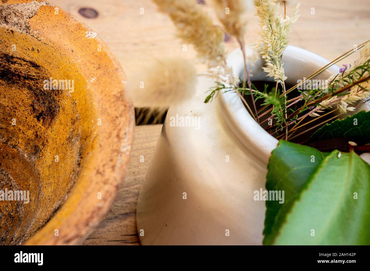 Les plantes herbacées dans un pot sur une table en bois dans un bar en France, en europe Banque D'Images