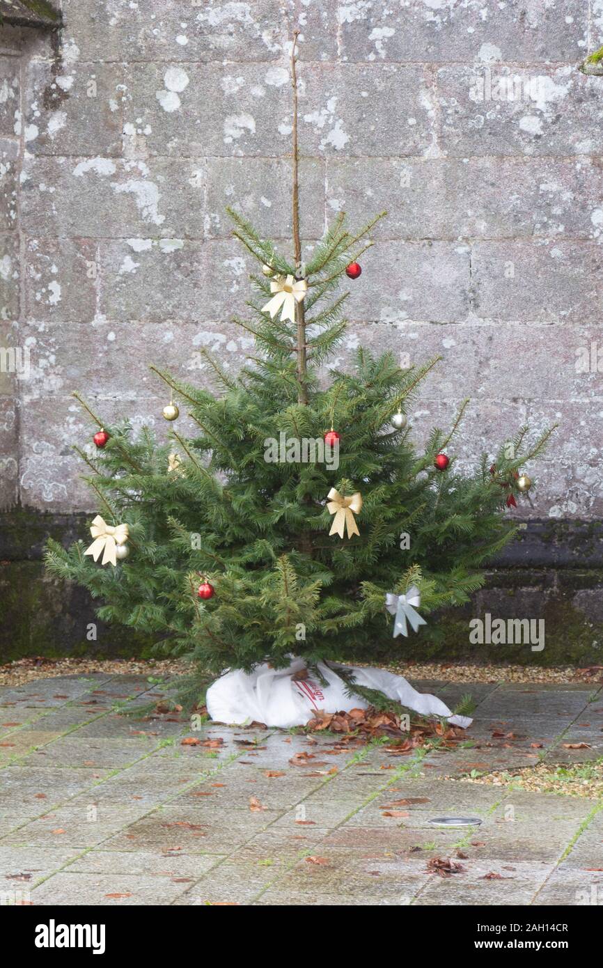 Arbre de Noël avec boules rouges et rubans d'or dans une rue Banque D'Images