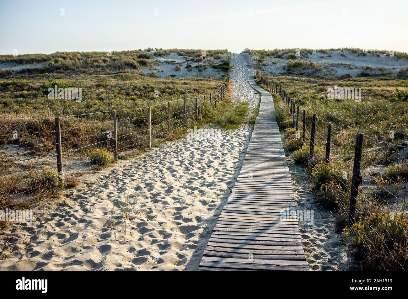 Passerelle en bois à travers les dunes et chemin de sable avec de l'herbe sur les côtés par le coucher du soleil Banque D'Images