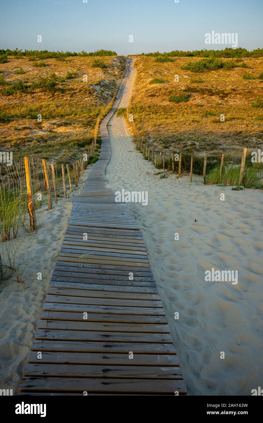Coucher du soleil chaud de l'éclairage dans les dunes l'herbe le long d'un sentier en bois en france Banque D'Images
