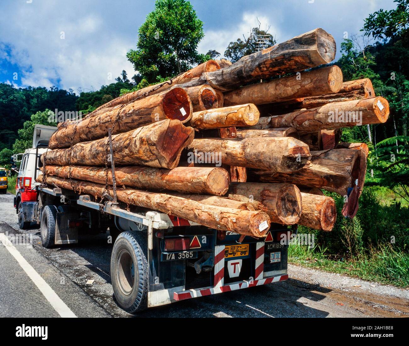 Camion de bois d'œuvre, Sarawak, Malaisie Banque D'Images