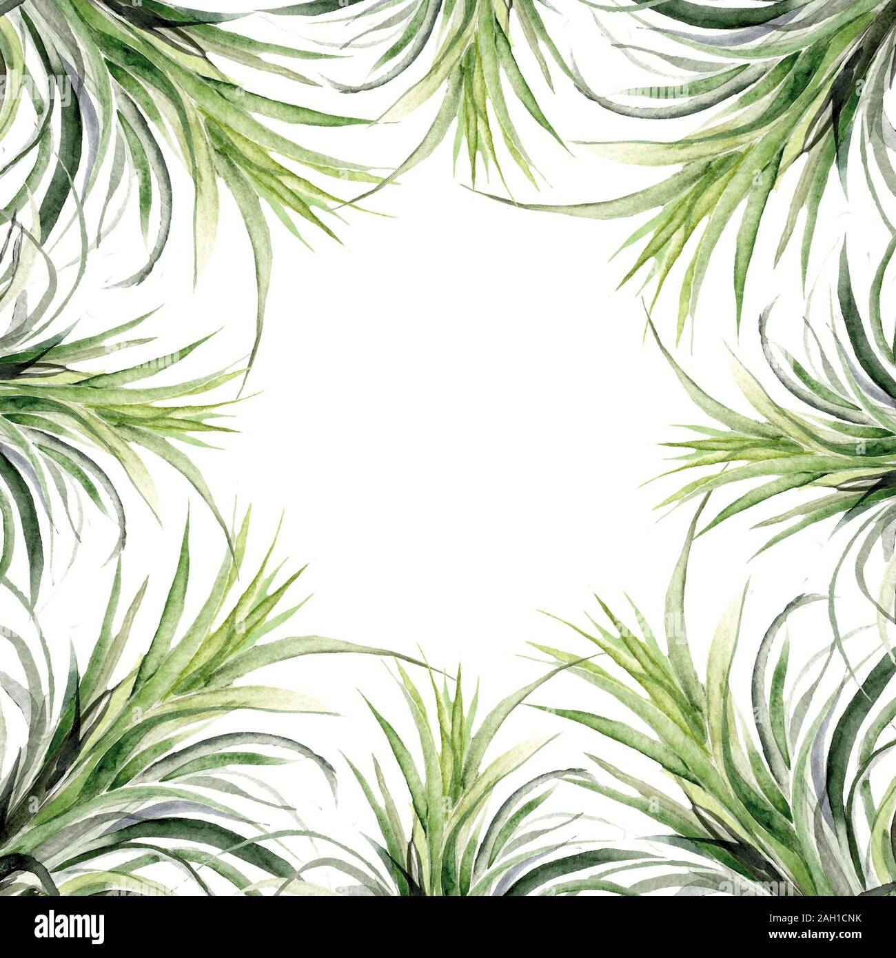 L'été imprimer jungle exotique tropical plante feuilles de palmier. Motif, sur la florale noir blanc arrière-plan géométrique. Nature papier peint. Banque D'Images