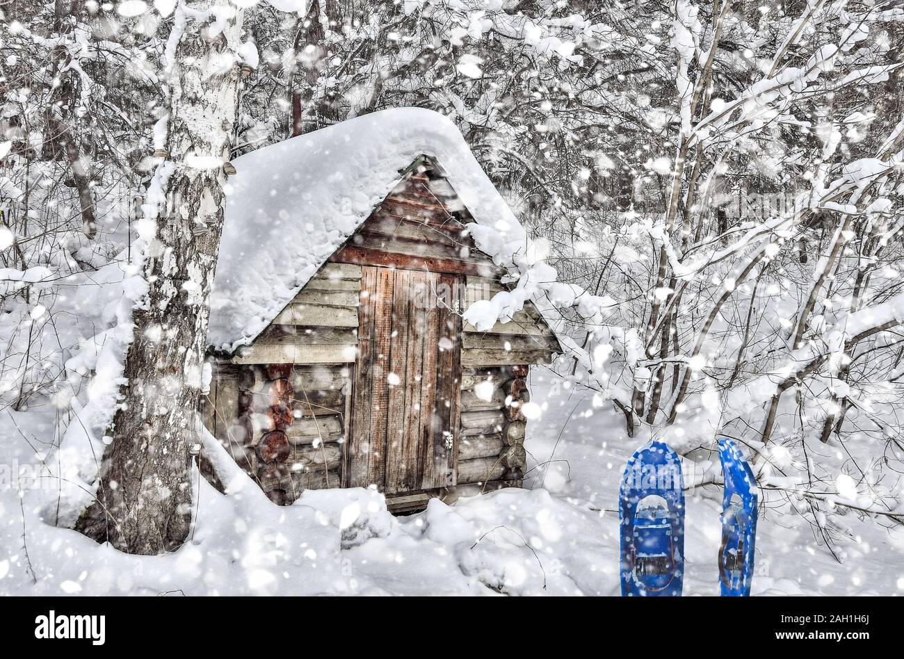 Petite vieille cabane en bois près de Birch Tree in snowy forest hiver sibérien à fortes chutes de neige. La raquette à neige en bleu près de la porte. Conte de Fées Banque D'Images