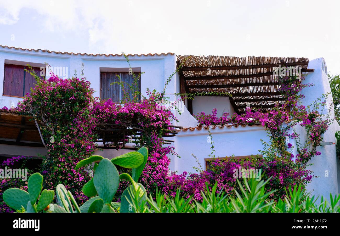 Fenêtres et balcons avec des fleurs à Porto Cervo reflex Banque D'Images