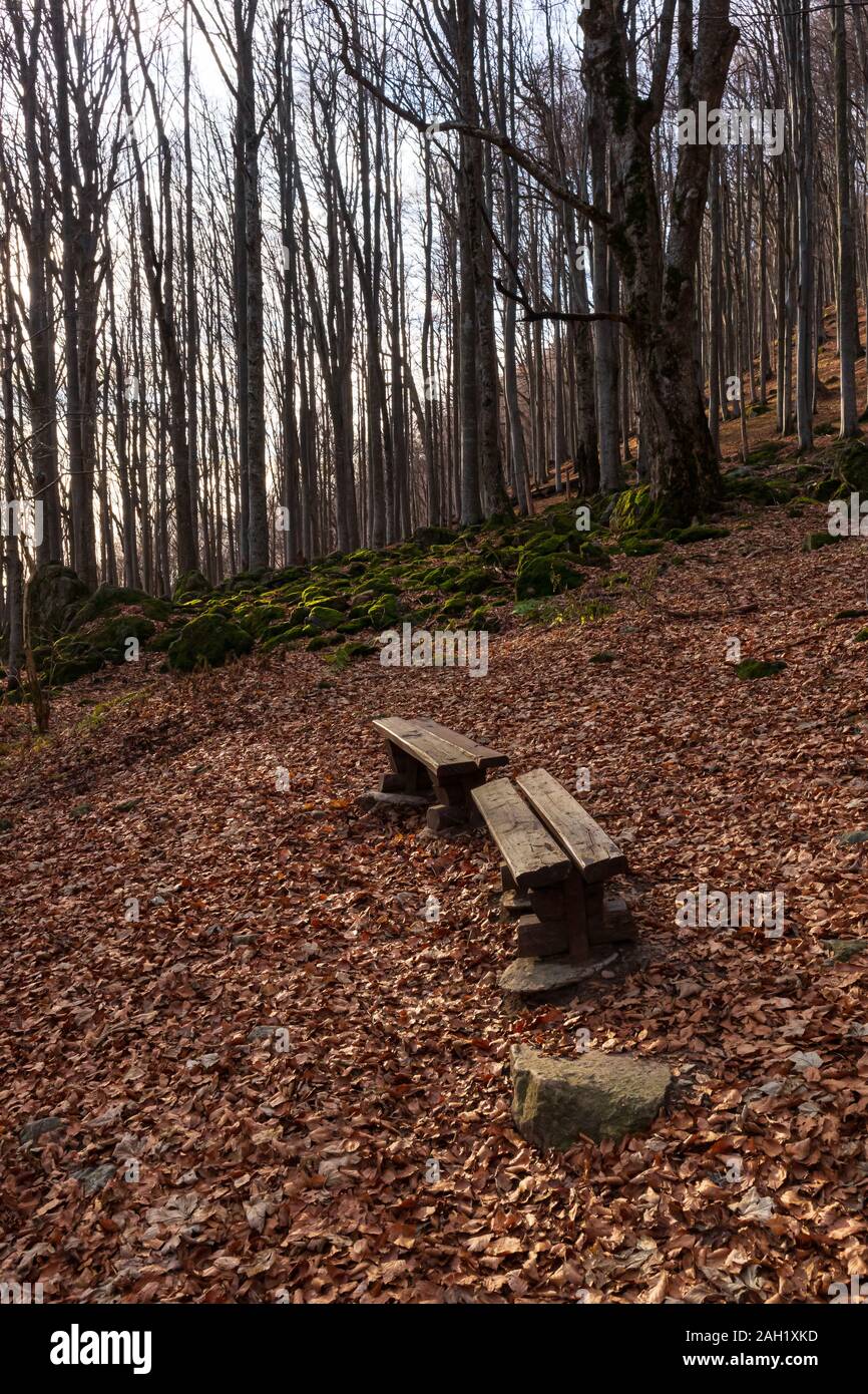 Zone de détente sur le petit sentier de randonnée dans les montagnes anciennes - Bulgarie. Banque D'Images