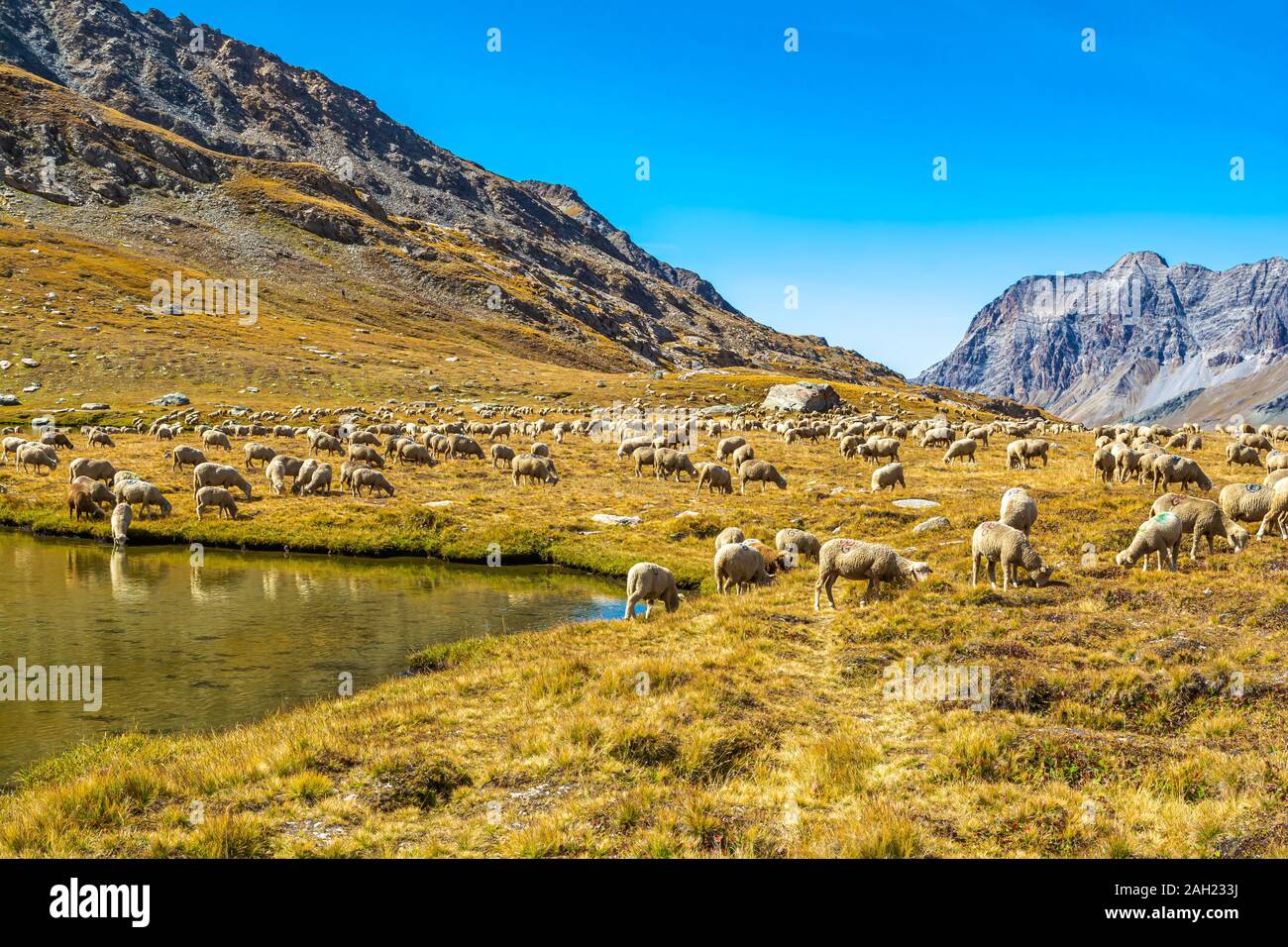 Les lacs Longet, dans la haute Vallée Varaita, sur la frontière entre l'Italie et la France, le miroir des sommets alpins, parmi lesquels Monviso, Roi de Pierre, s Banque D'Images