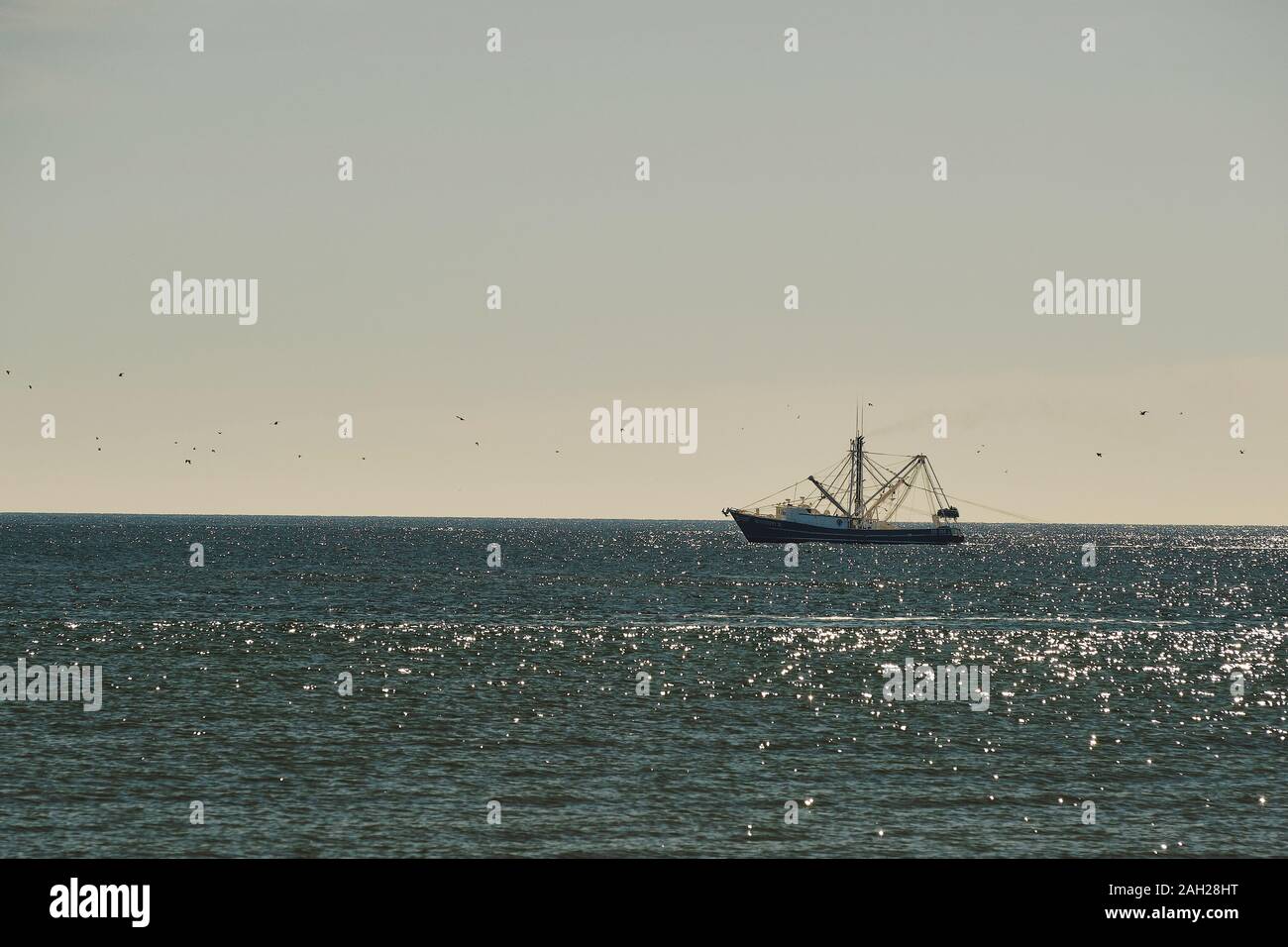Bateau de la crevette dans le golfe du Mexique, la pêche à la crevette au large de Dauphin Island, Alabama, USA. Banque D'Images
