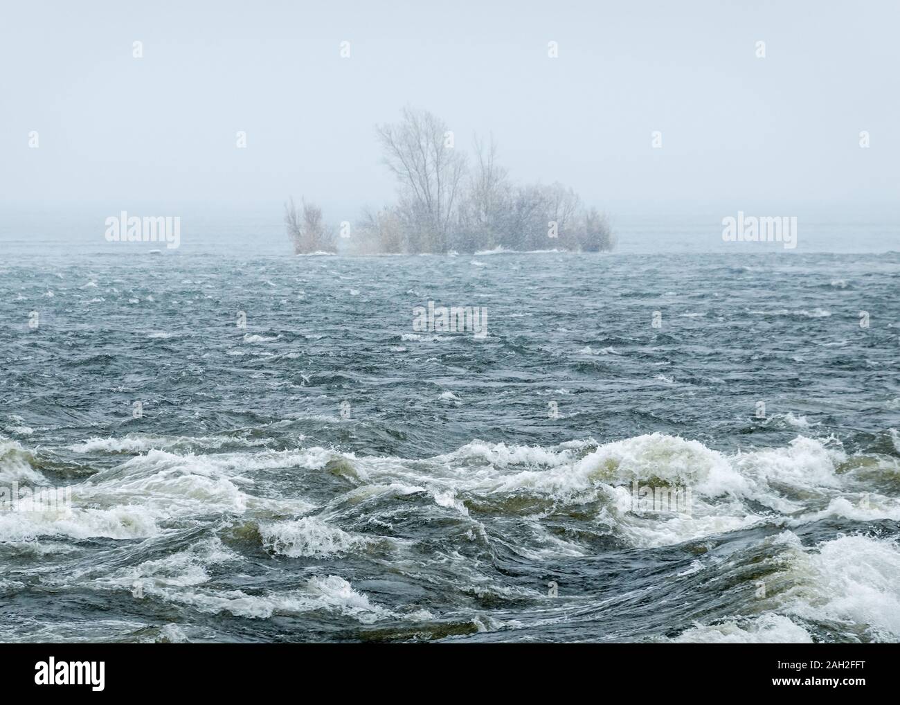 Brouillard d'une tempête de neige couvrant une île du fleuve saint-Laurent en 2020 Banque D'Images