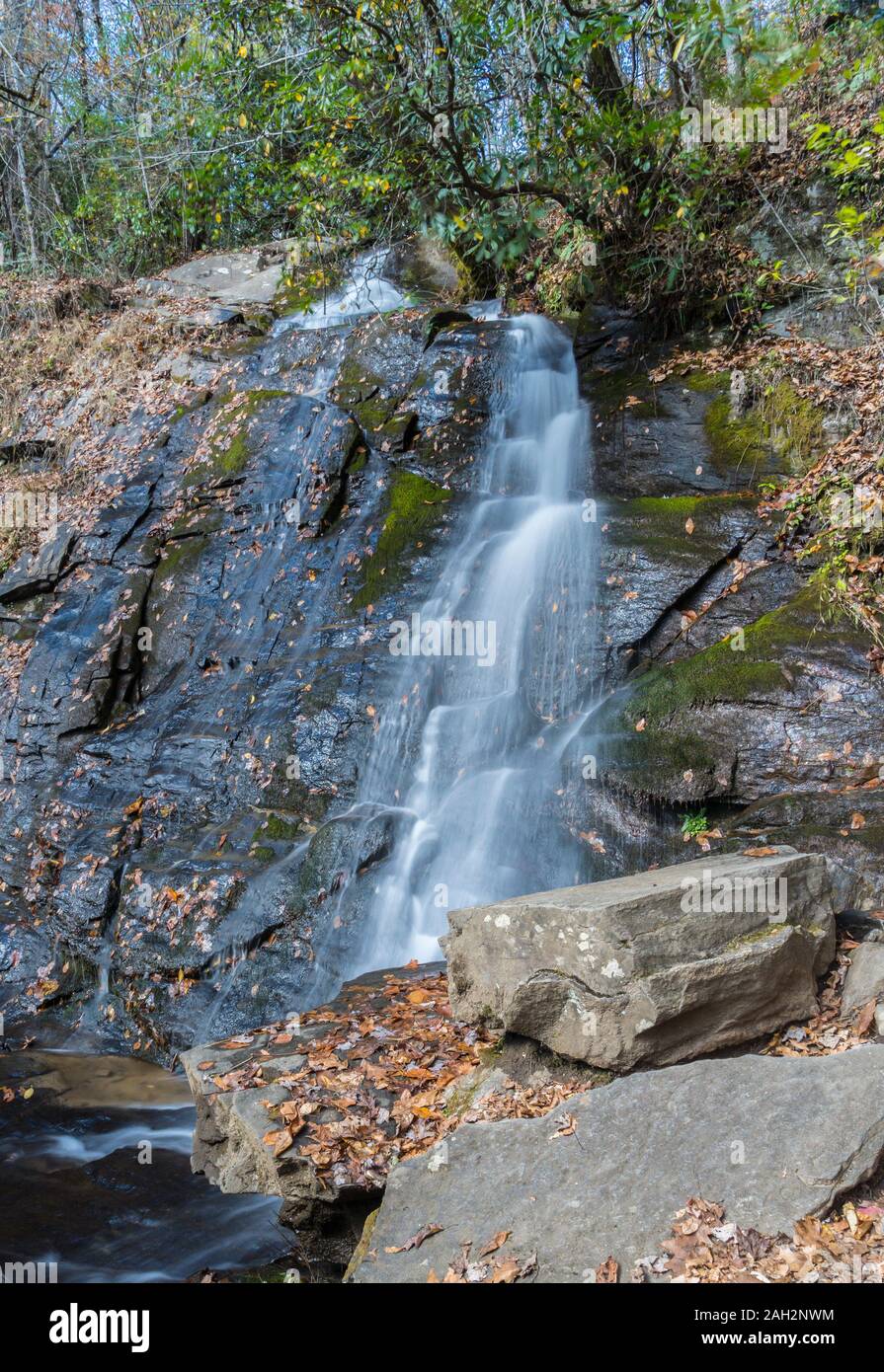 Whank juney falls Smoky Mountains National Park, tn-nous Banque D'Images