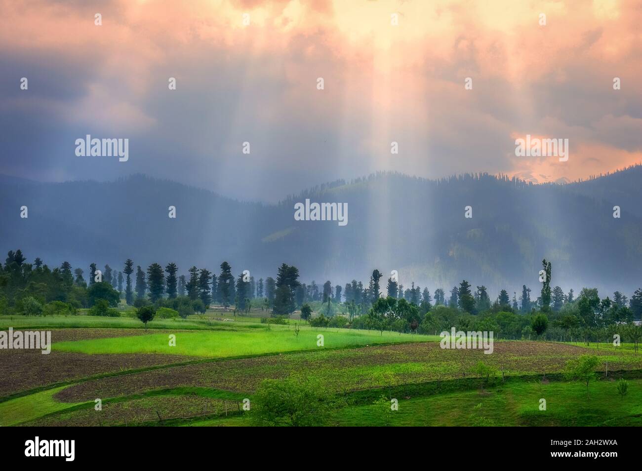 Des faisceaux de lumière passant à travers les nuages au moment du coucher du soleil et frapper paysage luxuriant et verdoyant Banque D'Images