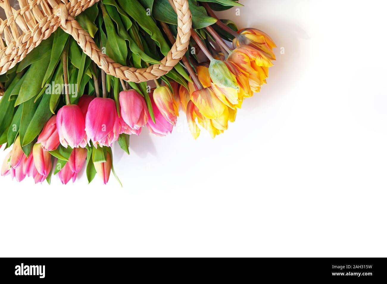 Bouquet de tulipes au printemps coloré frais dans le panier sur le tableau blanc avec copie espace Banque D'Images