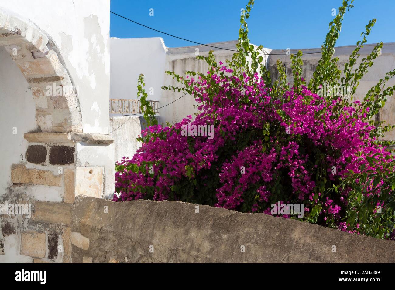 Un parmi les maisons en fleurs Banque D'Images