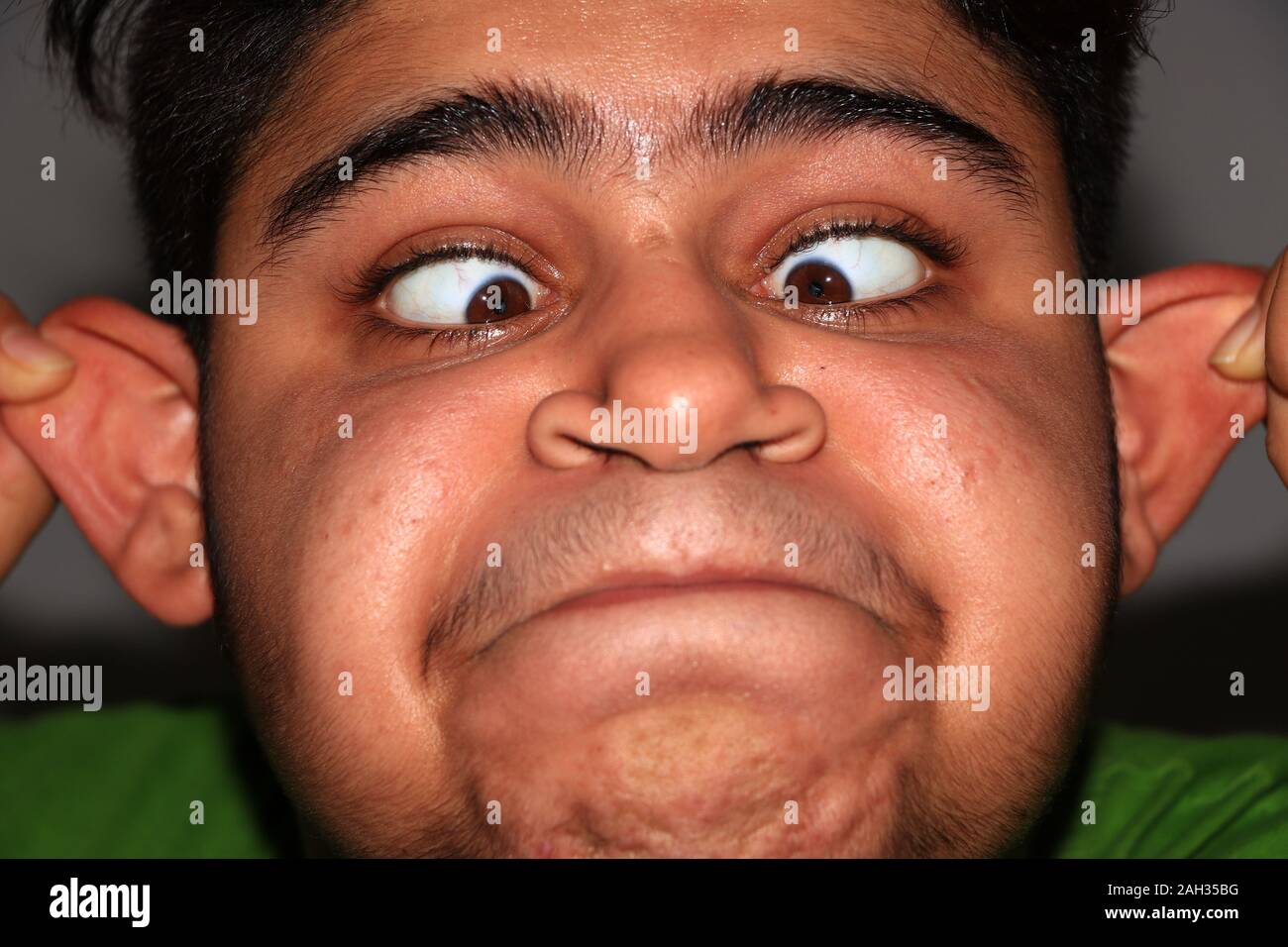 Il est armin. Il va être drôle Banque D'Images