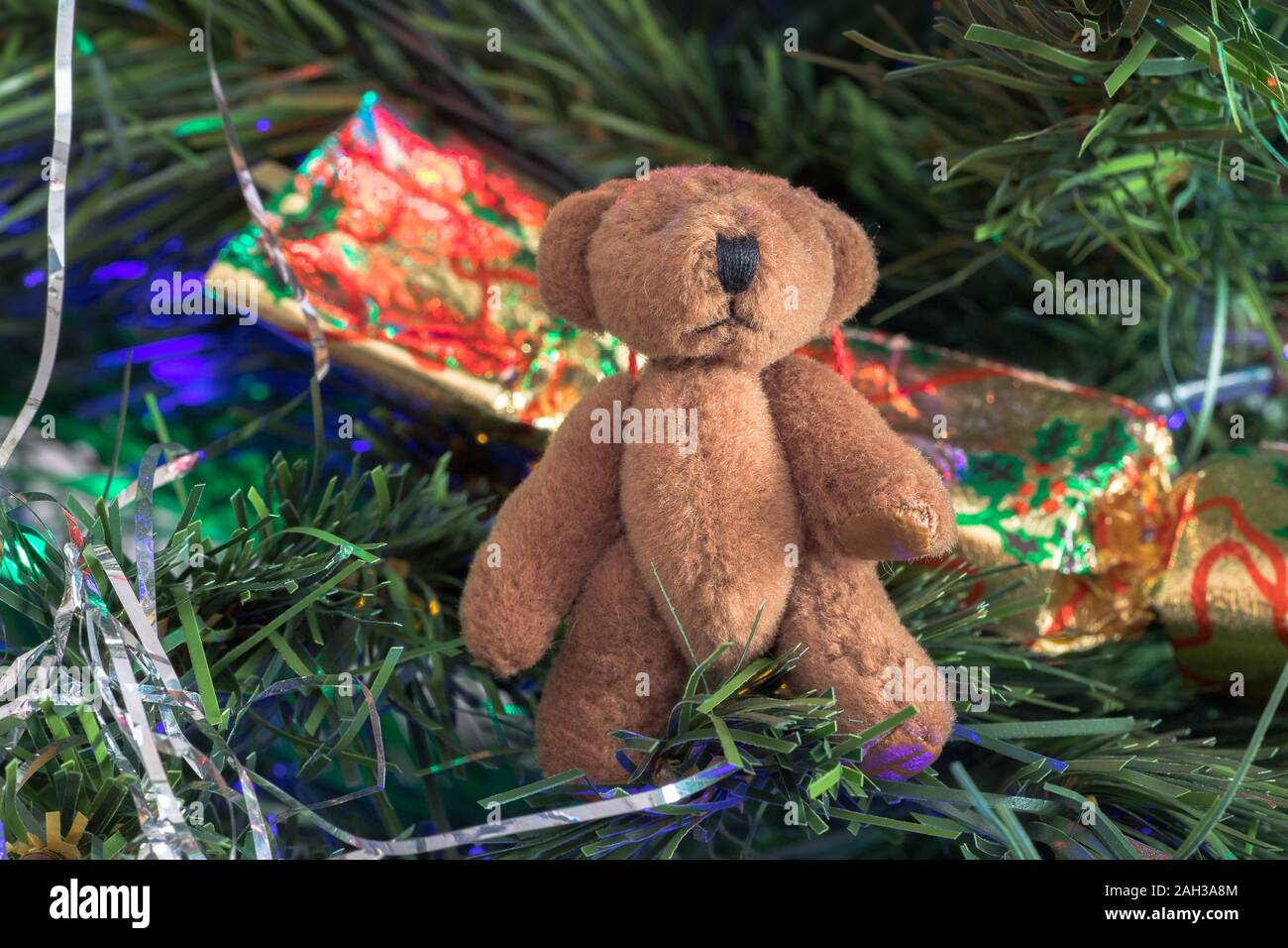 Petit ours en peluche accroché à l'arbre de Noël, pris en KIngs Lynn, Norfolk, UK, le 23 mai 2019. Banque D'Images