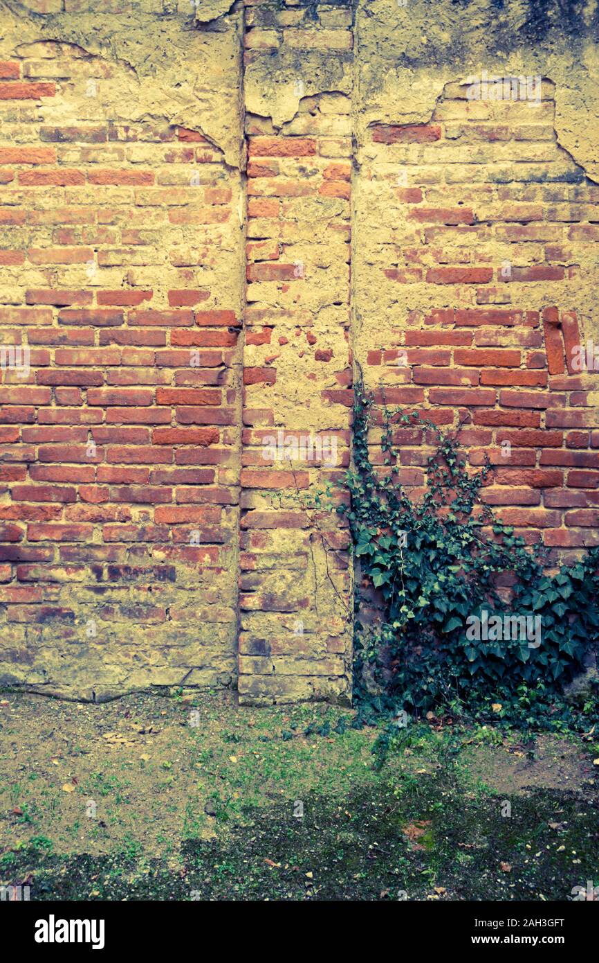 Mur de briques anciennes et abandonnées en décomposition Banque D'Images