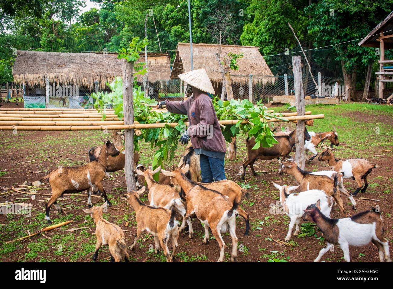 Laongam, Laos, Terre Verte Centre (GEC) Banque D'Images