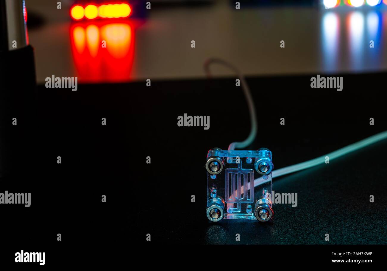 Organe-sur-puce (OOC) - dispositif microfluidique puce qui simule les organes biologiques c'est le type d'organes artificiels. Conception de prototypes de laboratoires sur puce Banque D'Images