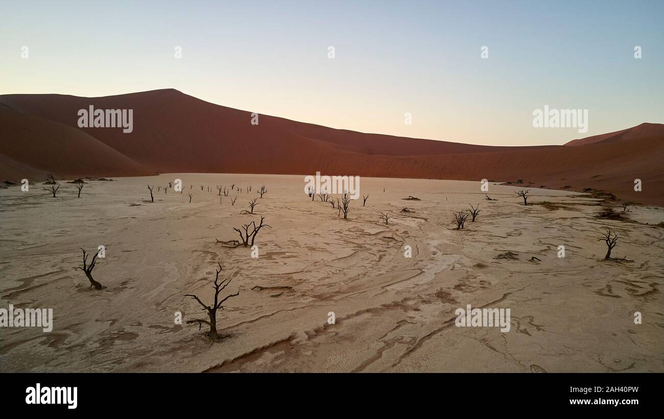 Deadvlei au lever du soleil, Sossusvlei, désert du Namib, Namibie Banque D'Images