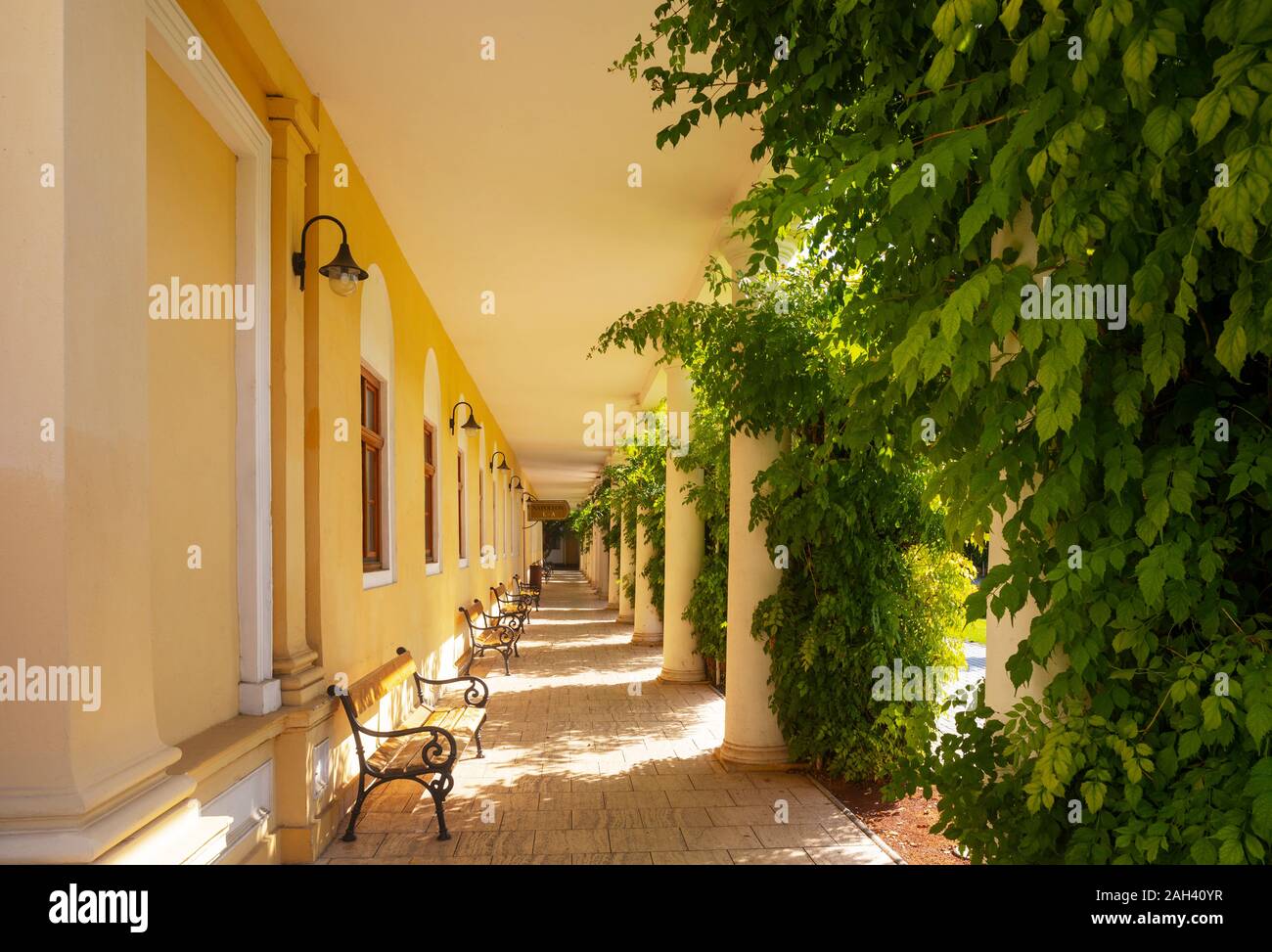 La Slovaquie, Piestany Piestany Spa, porche, Napoléon à bath hotel Thermia Palace Banque D'Images