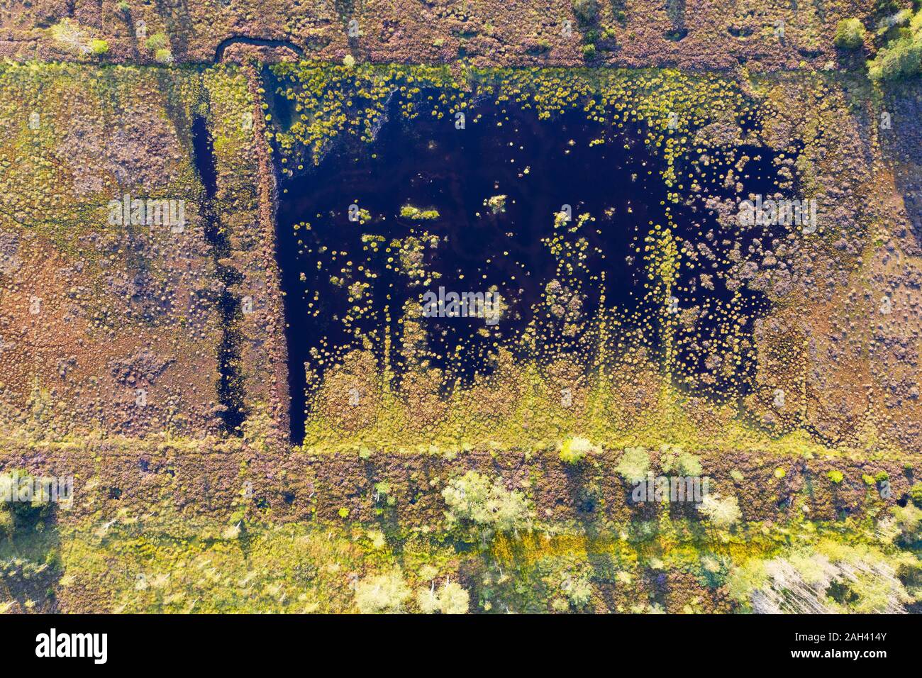 Allemagne, Bavière, Konigsdorf, vue aérienne d'Konigsdorfer Moor au cours de la renaturation Banque D'Images
