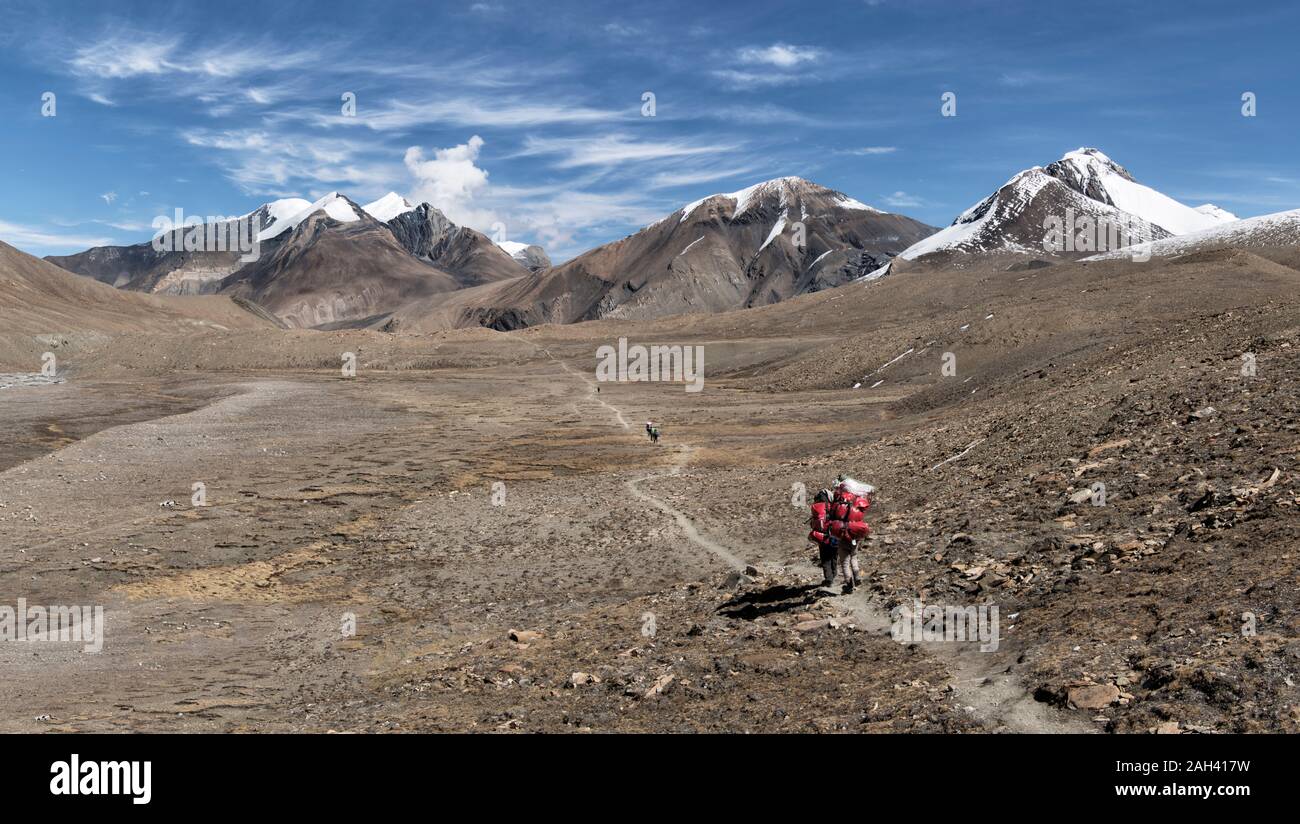Hidden Valley, Sechi Lek, Pic Dhampus, Dhaulagiri Trek Circuit, Himalaya, Népal Banque D'Images