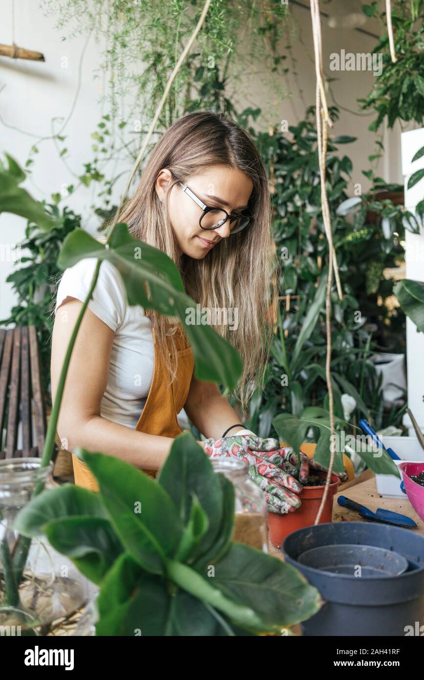 Jeune femme travaillant avec le sol dans une petite boutique de jardinage Banque D'Images