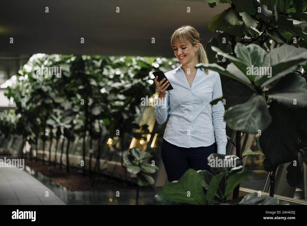 Smiling young businesswoman using cell phone dans un immeuble de bureaux moderne entouré de plantes Banque D'Images