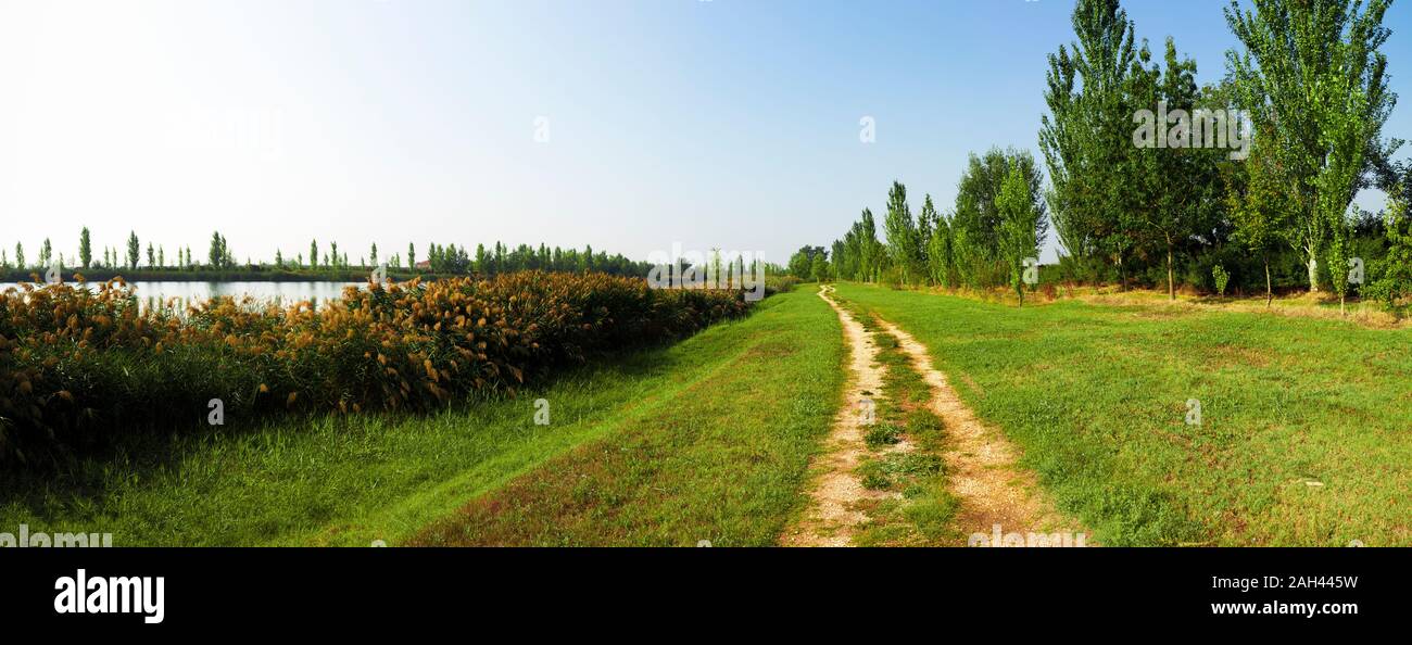 L'Italie, l'Emilie Romagne, Ferrara, sentier in rural landscape Banque D'Images