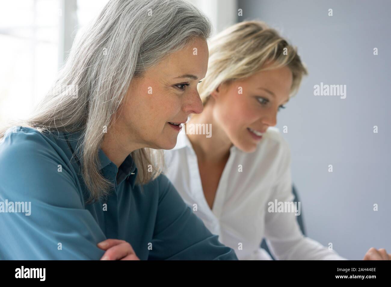 Portrait de deux femmes d'affaires ciblé travaillant ensemble dans office Banque D'Images