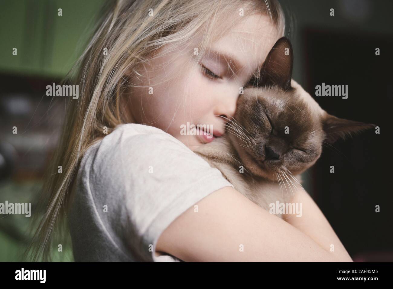 Petite fille de câlins avec son chat de Birmanie Banque D'Images
