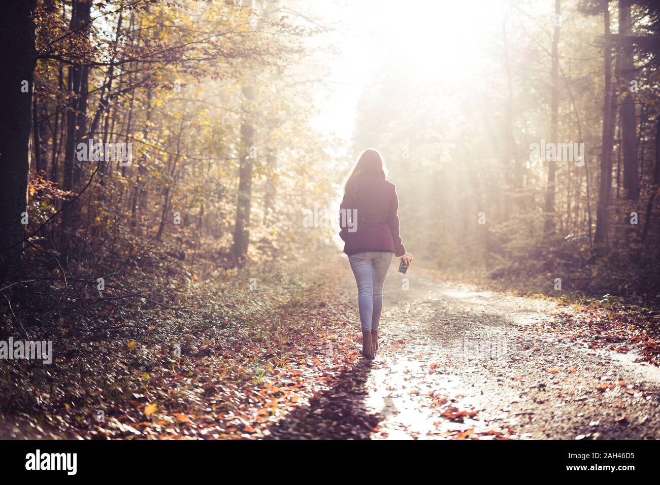 Vue arrière de jeune femme marche dans les bois en automne Banque D'Images