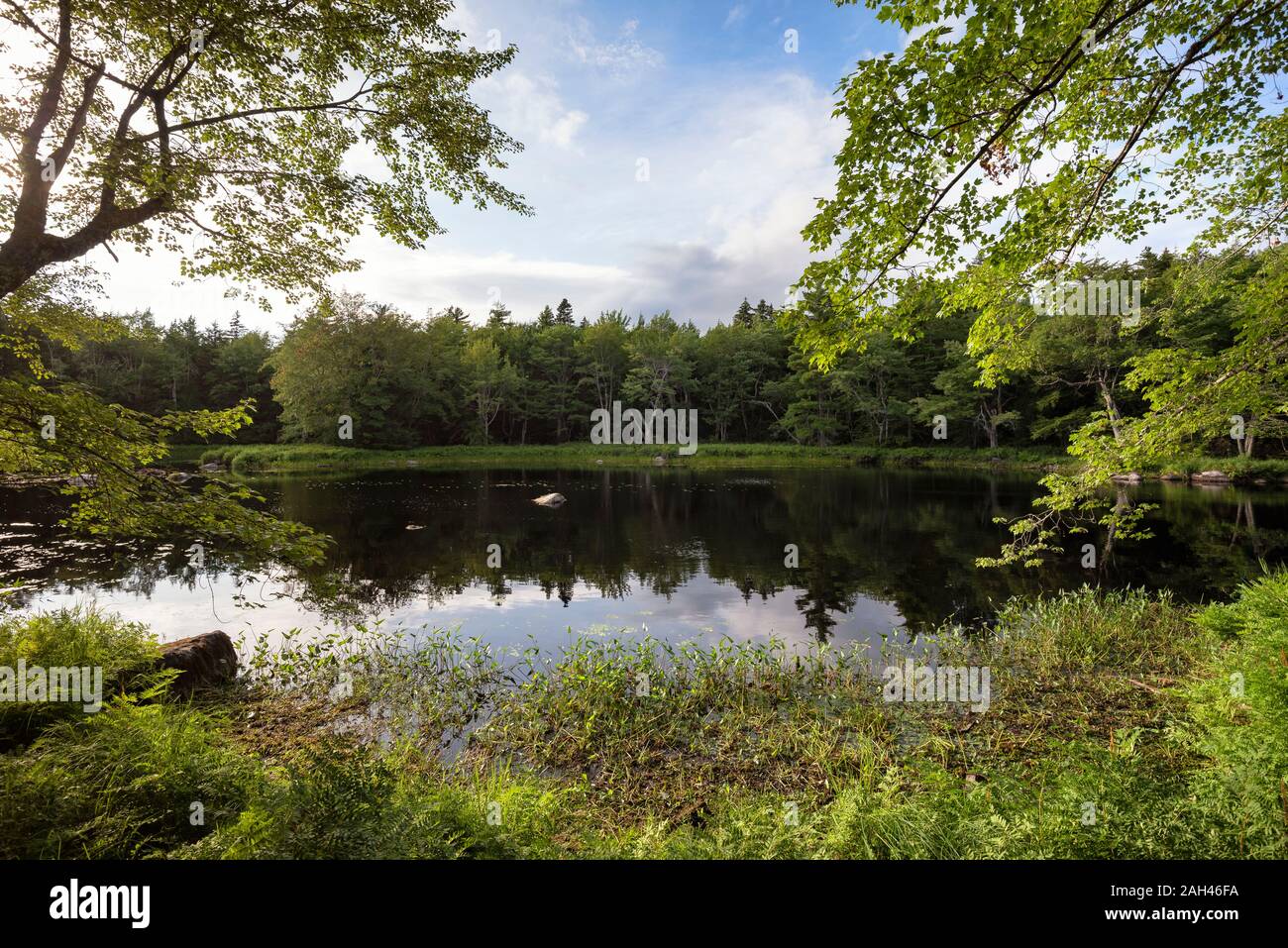 Canada, comté d'Annapolis, Paysage avec rivière Mersey Banque D'Images