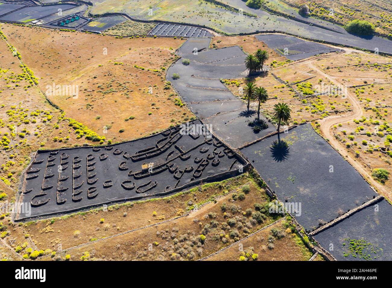 Espagne, Canaries, Haria, vue aérienne de champs volcanique noire Banque D'Images
