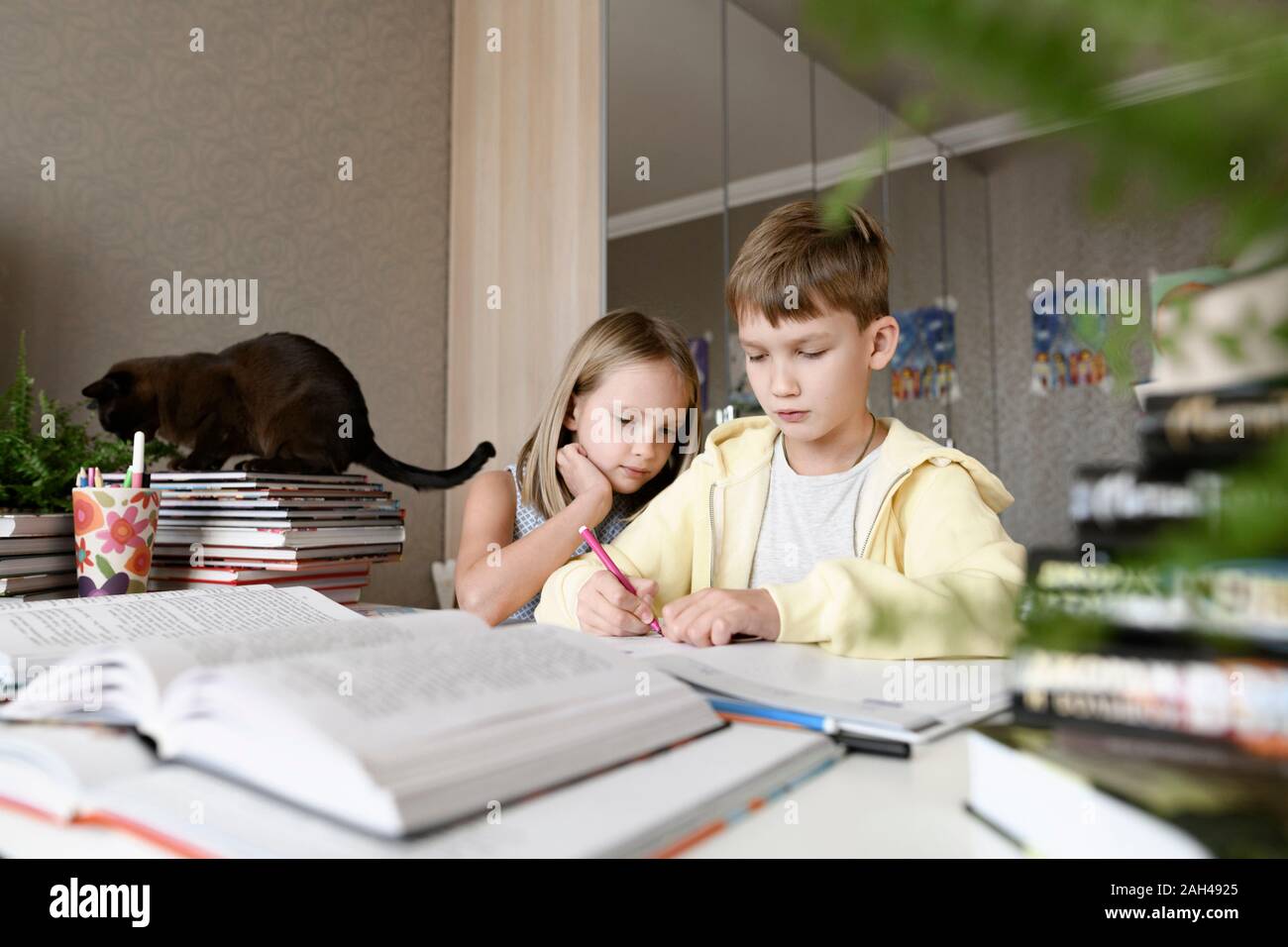 Frère et soeur avec un chat assis à table à la maison à faire leurs devoirs ensemble Banque D'Images