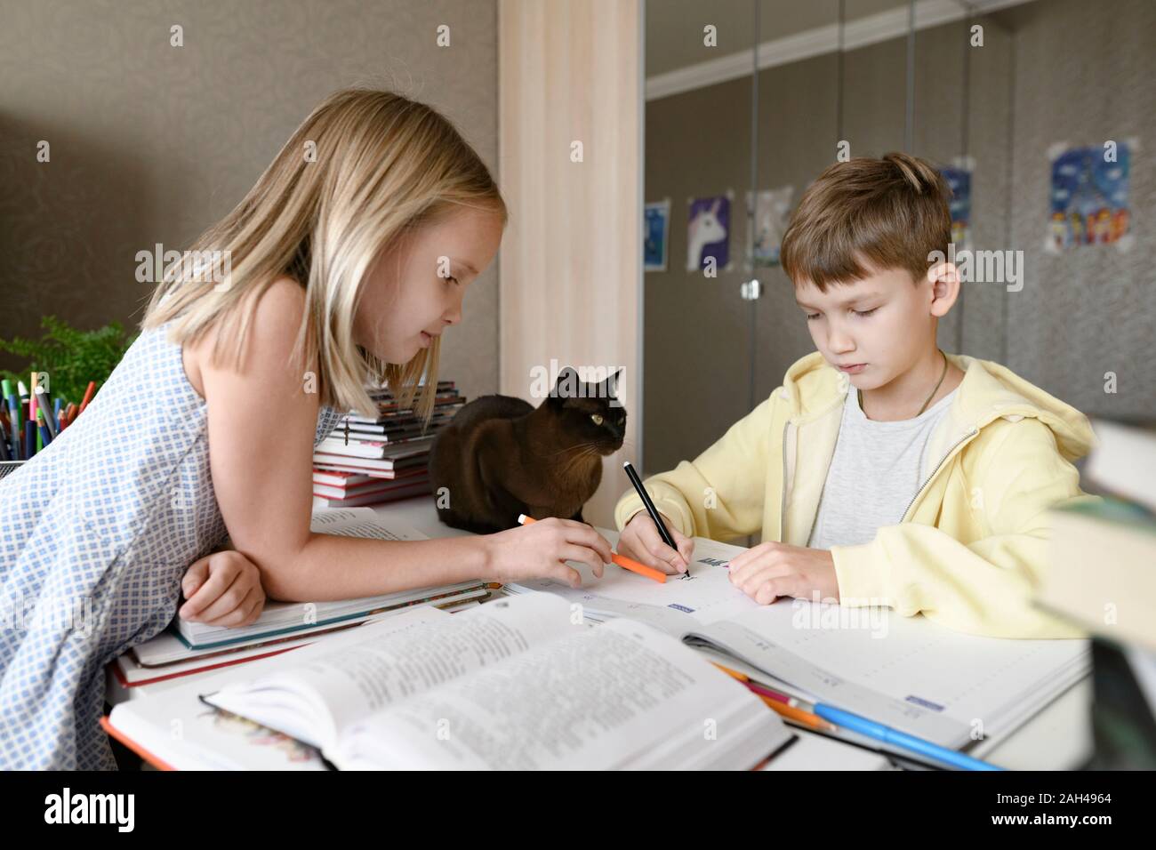Frère et soeur avec un chat assis à table à la maison à faire leurs devoirs ensemble Banque D'Images