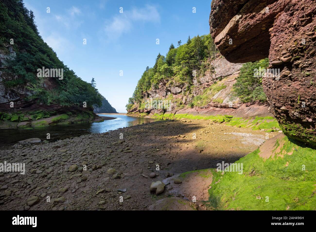 Canada, Nouveau-Brunswick, Alma, Point Wolfe dans le parc national de Fundy Banque D'Images