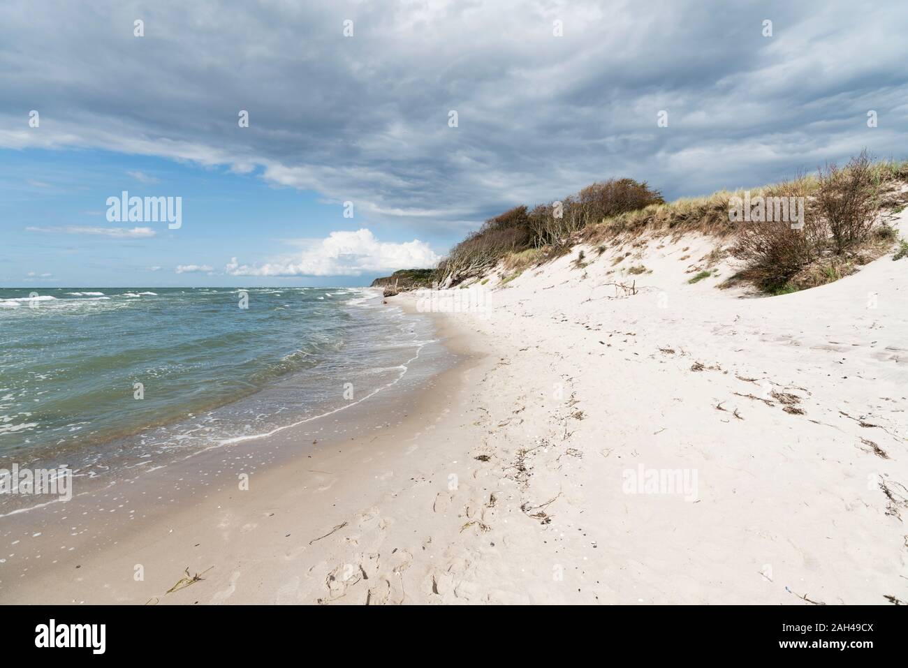 Allemagne, Darss, plage vide par jour nuageux Banque D'Images