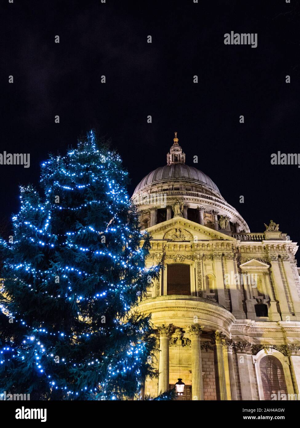 Arbre de Noël, la Cathédrale St Paul, nuit, London, England, UK,GO. Banque D'Images