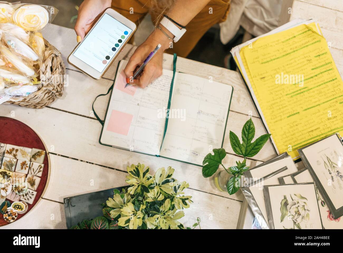 Top View of woman with smartphone en prenant des notes dans un petit magasin de jardinage Banque D'Images