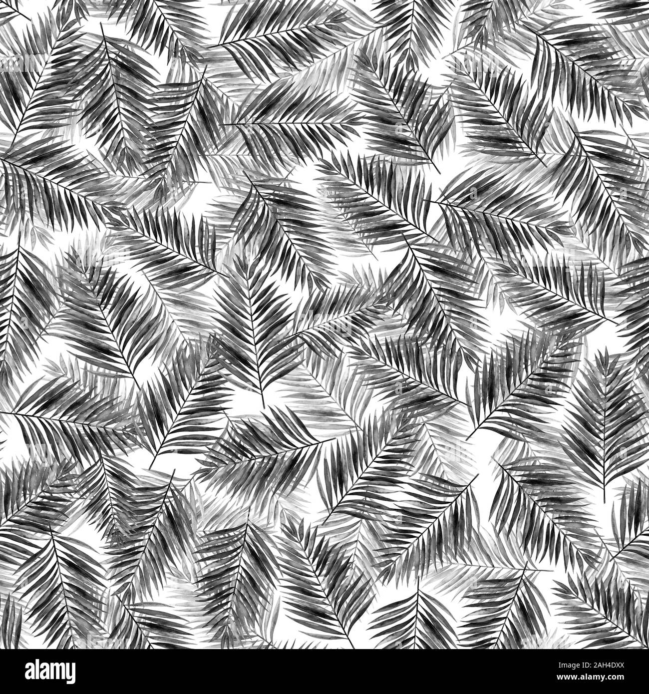 Feuilles de palmier monochrome aquarelle sur fond blanc. Modèle sans couture. Illustration à la main. Banque D'Images Feuilles de palmier monochrome aquarelle sur fond blanc. Modèle sans couture. Illustration à la main. Banque D'Images