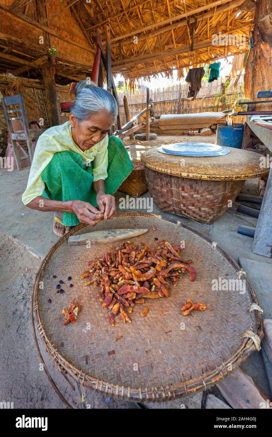 Femme âgée locale peeling le tamarin à Bagan, Myanmar Banque D'Images