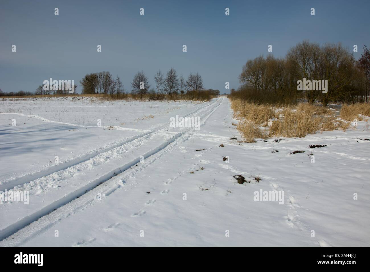 Route de campagne couverte de neige et les buissons, vue d'hiver Banque D'Images