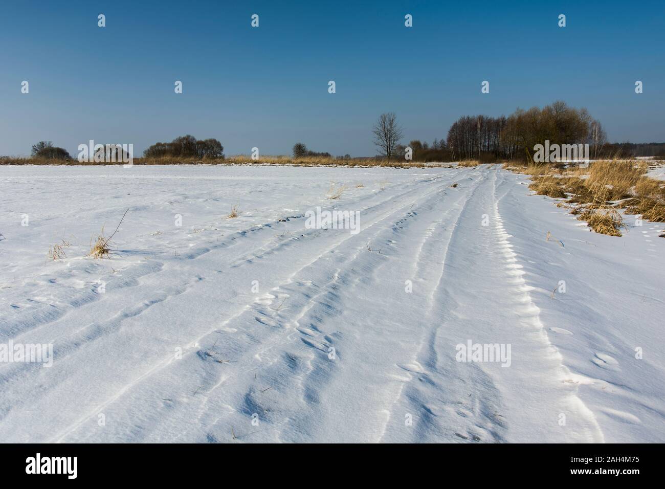 Route de campagne à travers la prairie, ensoleillée journée d'hiver de Nowiny, Pologne Banque D'Images
