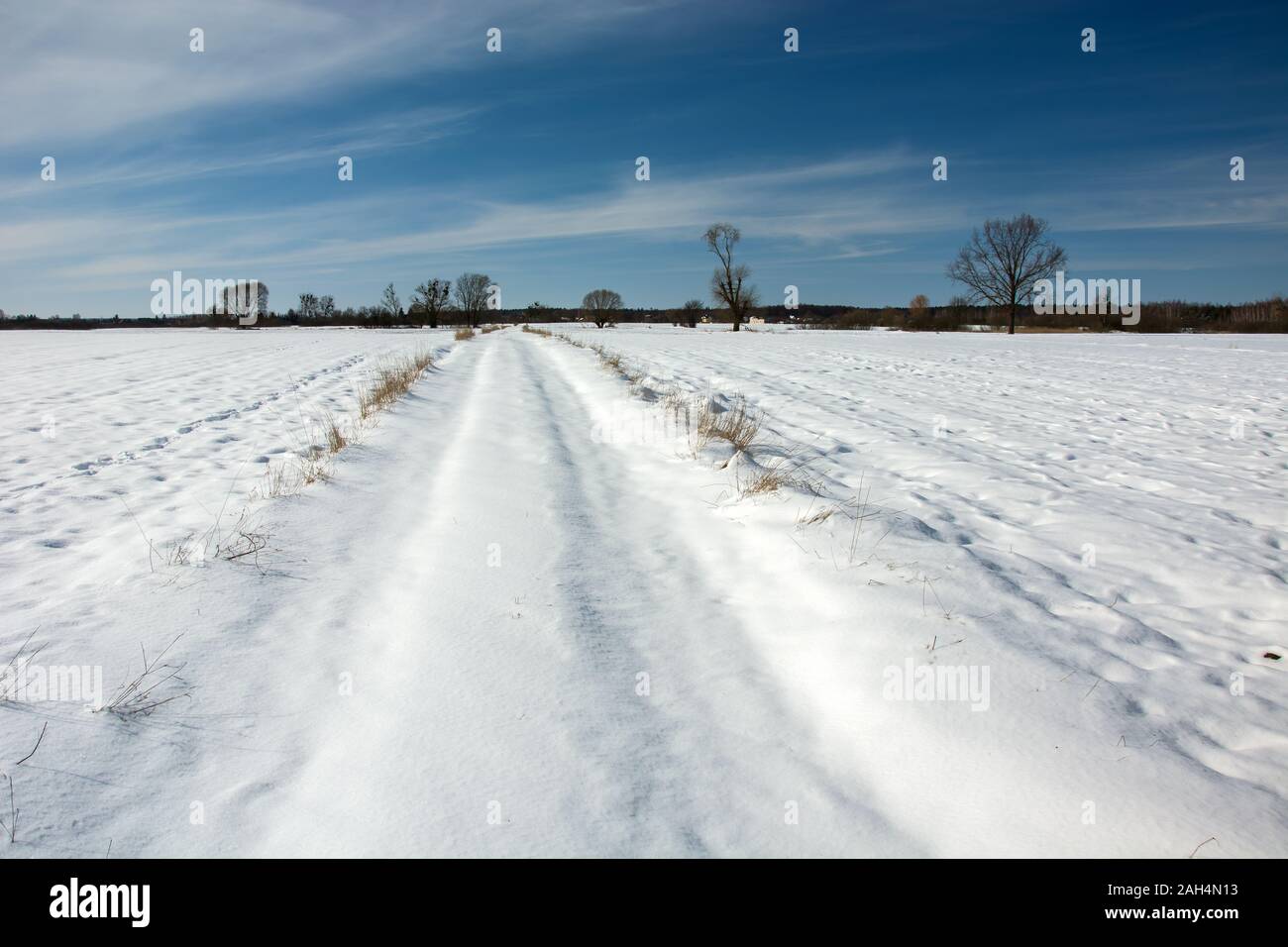 Route de terre recouverte de neige, l'hiver en Pologne, Nowiny Banque D'Images