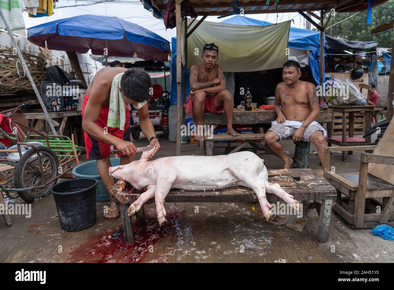 Un cochon en préparation pour la cuisson la veille de Noël dans la ville de Cebu, Philippines Lechon baboy.connu comme le cochon sera farci aux herbes & sp Banque D'Images