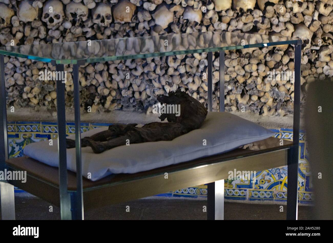 Le cadavre humain afficher dans la Chapelle des Os, l'église de saint François. à Evora (Alentejo, Portugal Banque D'Images