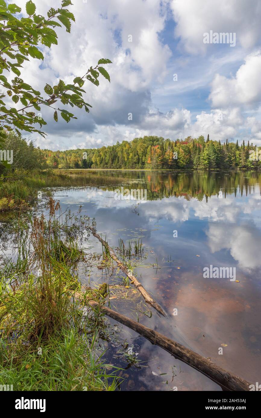 Jour Lac dans la forêt nationale de Chequamegon-Nicolet au début de septembre. Banque D'Images