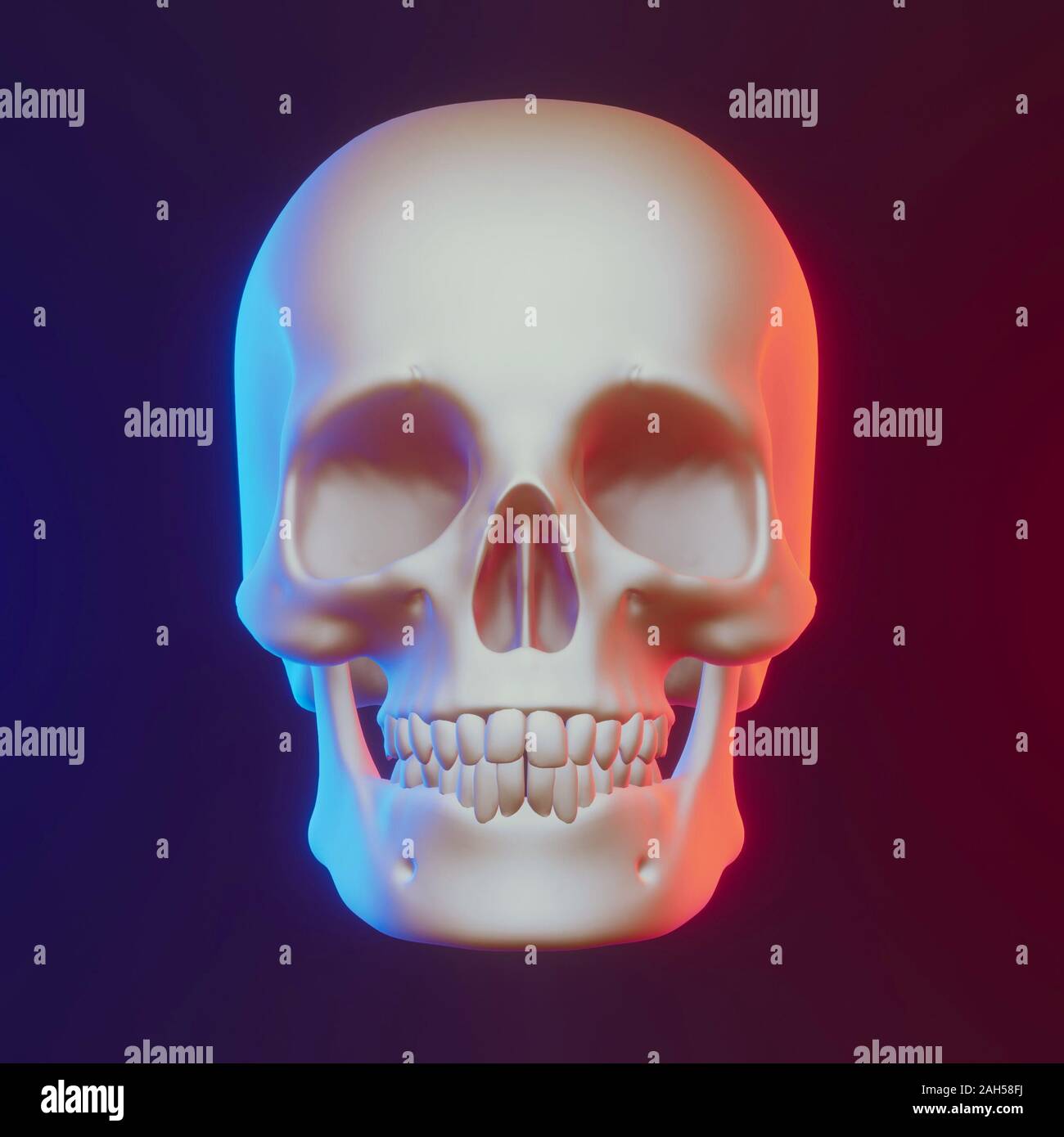 Crâne avec éclairage agréable. 3D render Banque D'Images